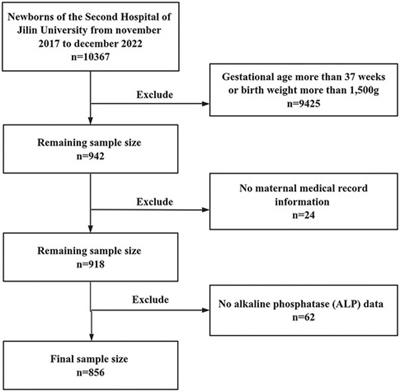 Analysis of clinical risk factors for metabolic bone disease of prematurity